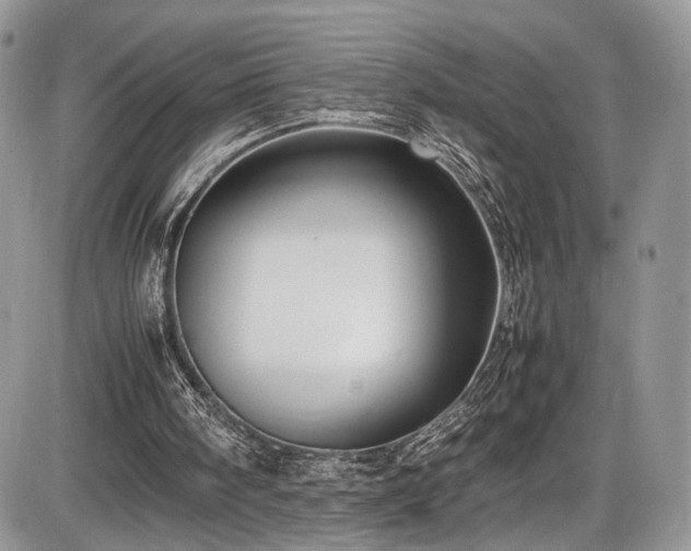 X0000085810098200703231346