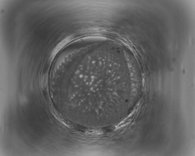 X0000085810099200703231346