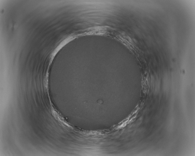 X0000085810100200703231346