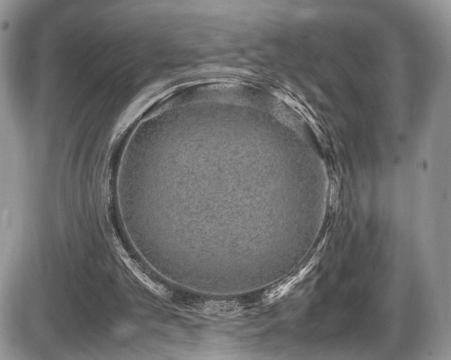 X0000085810101200703231346