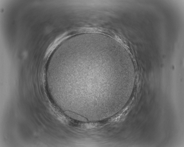 X0000085810103200703231346