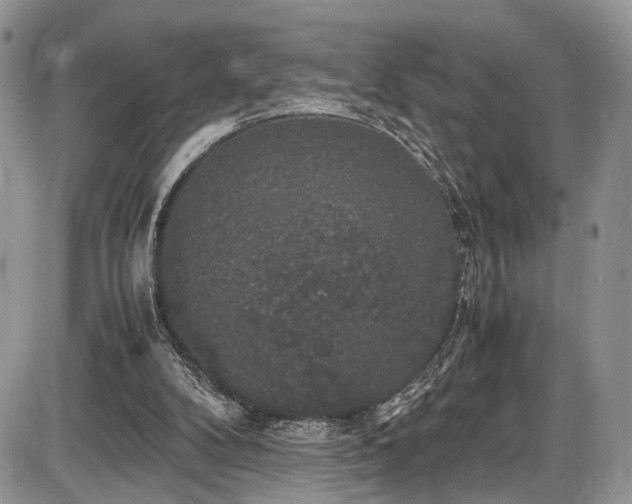 X0000085810104200703231346