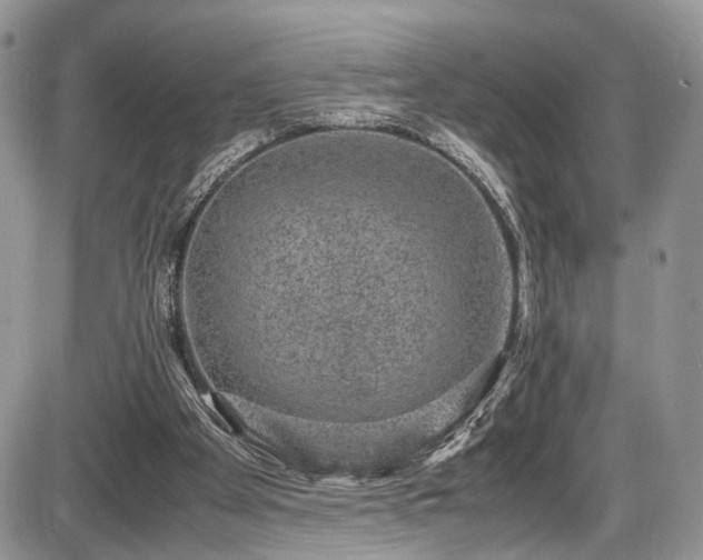 X0000085810105200703231346