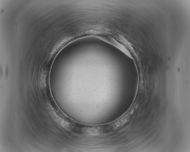 X0000085810106200703231346