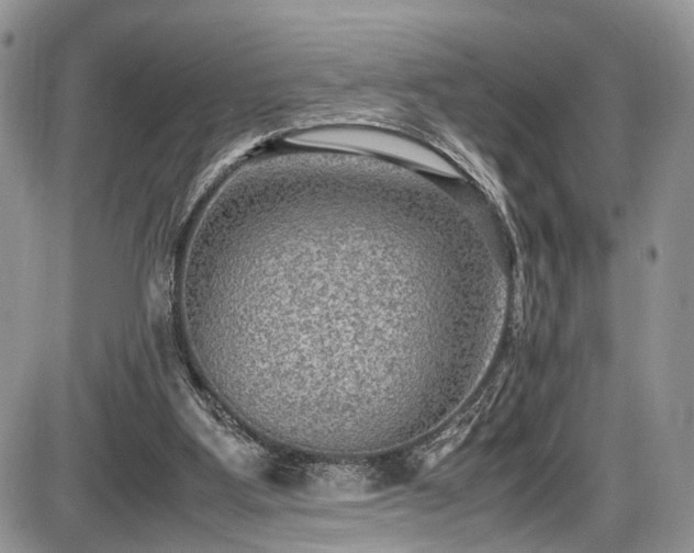 X0000085810107200703231346