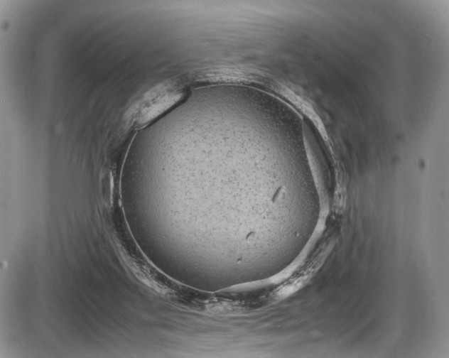 X0000085810109200703231346