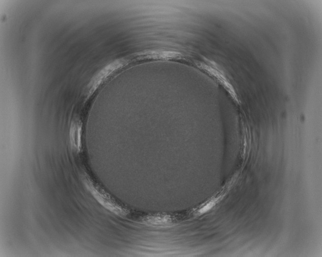 X0000085810110200703231346