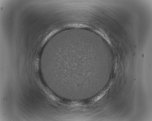 X0000085810111200703231346