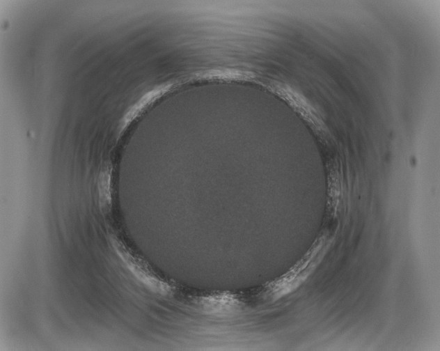 X0000085810112200703231346