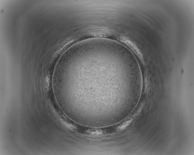 X0000085810113200703231346