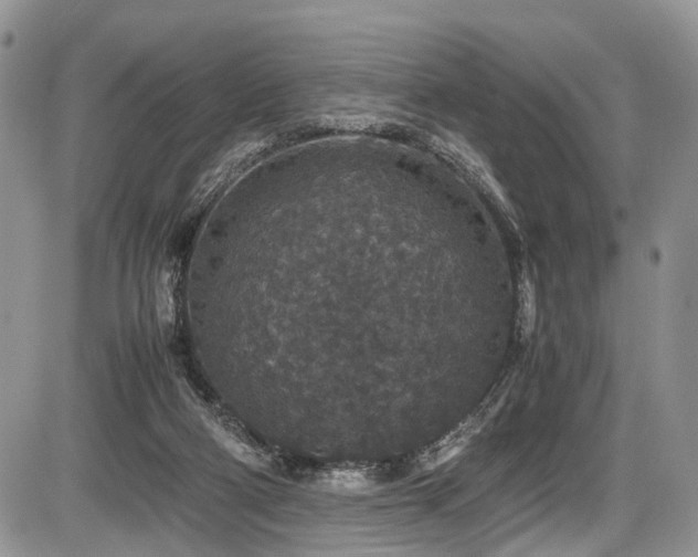 X0000085810114200703231346