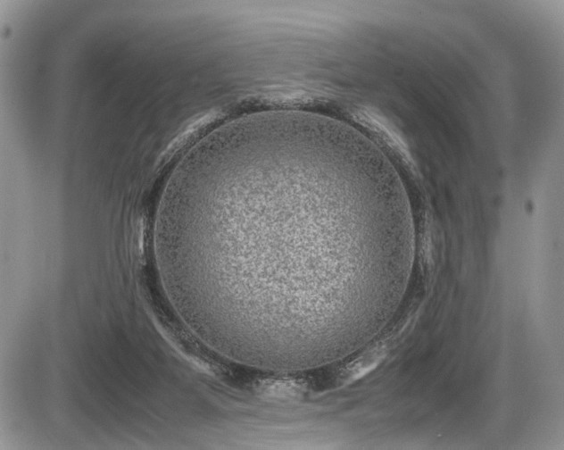 X0000085810115200703231346