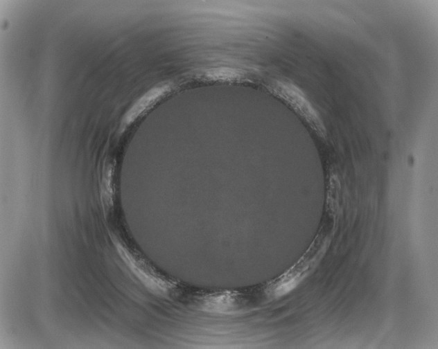 X0000085810116200703231346