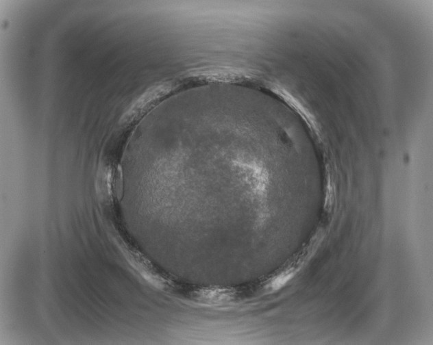 X0000085810117200703231346