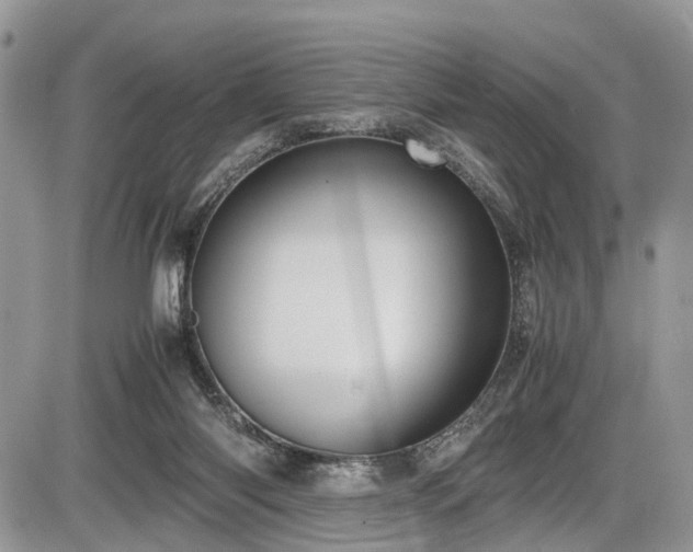 X0000085810118200703231346