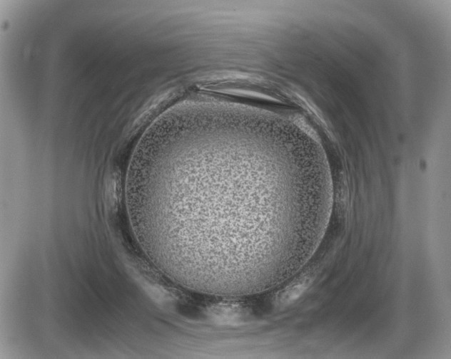 X0000085810119200703231346