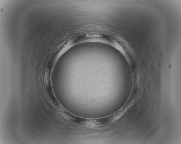 X0000085810121200703231346