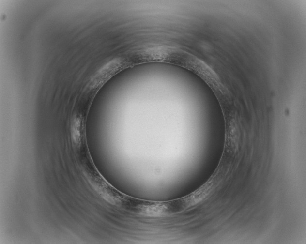 X0000085810122200703231346