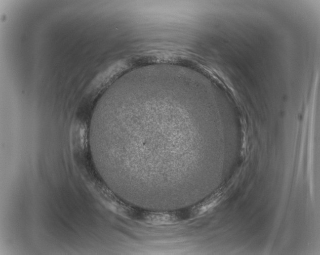 X0000085810123200703231346