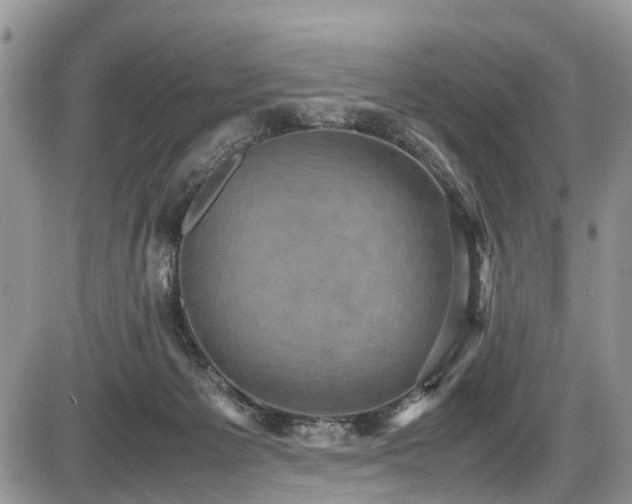 X0000085810125200703231346