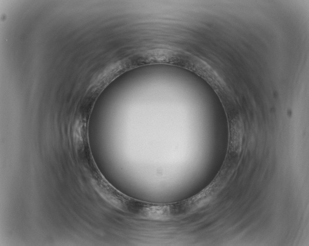 X0000085810126200703231346