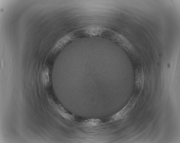 X0000085810128200703231346