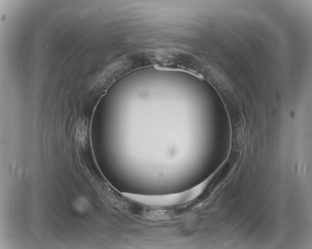 X0000085810129200703231346