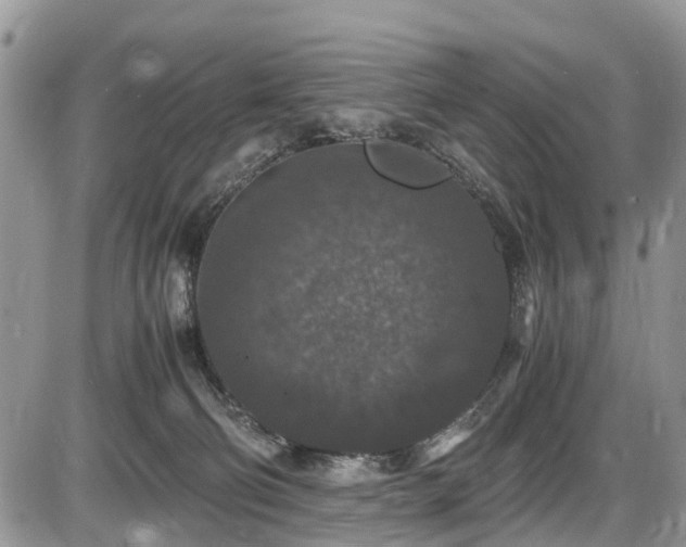 X0000085810130200703231346