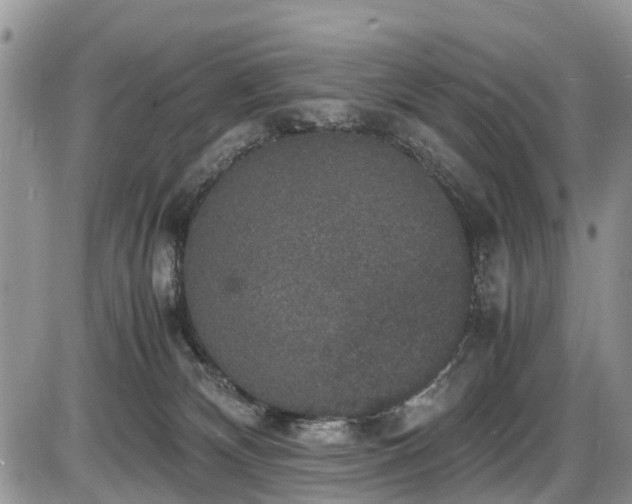 X0000085810132200703231346