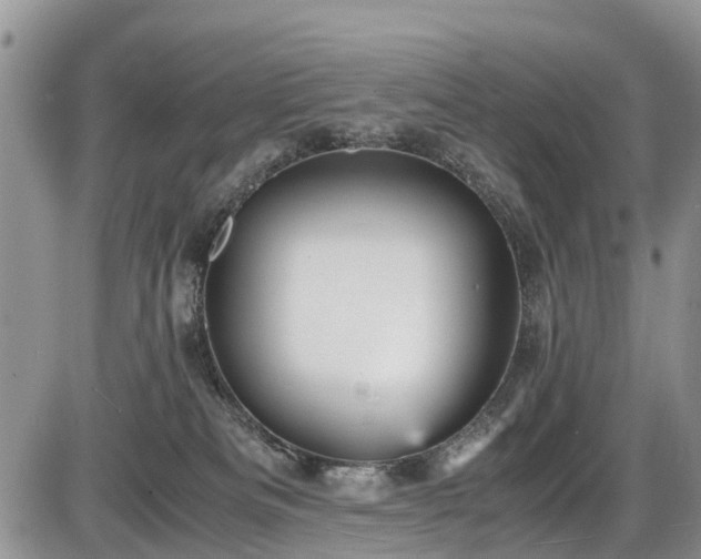 X0000085810133200703231346