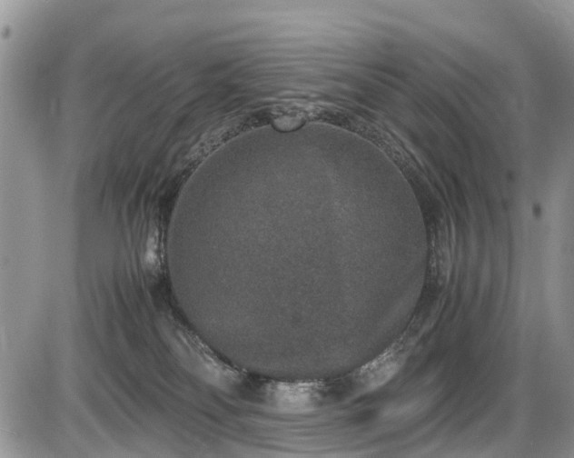 X0000085810134200703231346