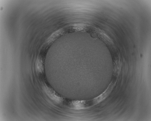 X0000085810136200703231346