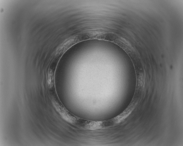 X0000085810138200703231346