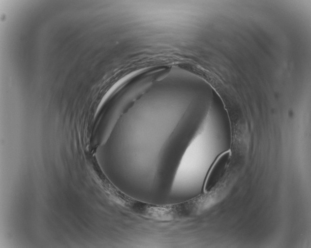 X0000085810139200703231346