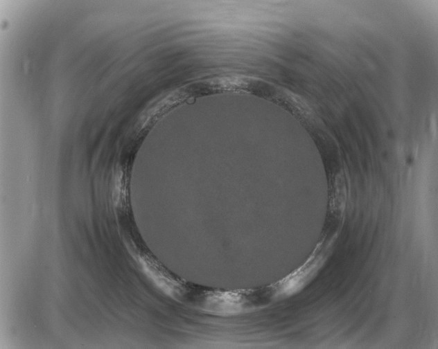 X0000085810140200703231345