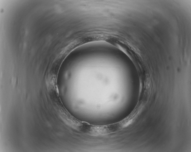 X0000085810141200703231345