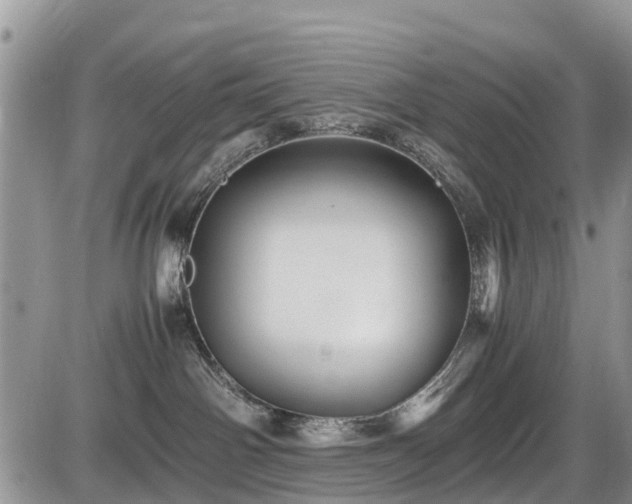 X0000085810142200703231345