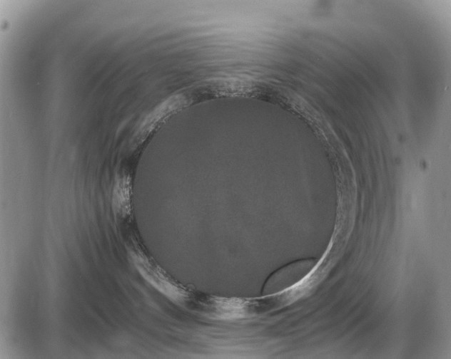 X0000085810144200703231345