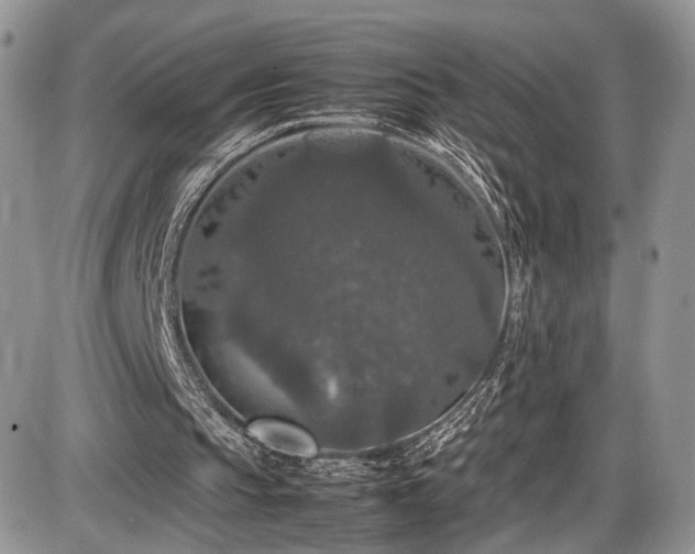 X0000085810145200703231345