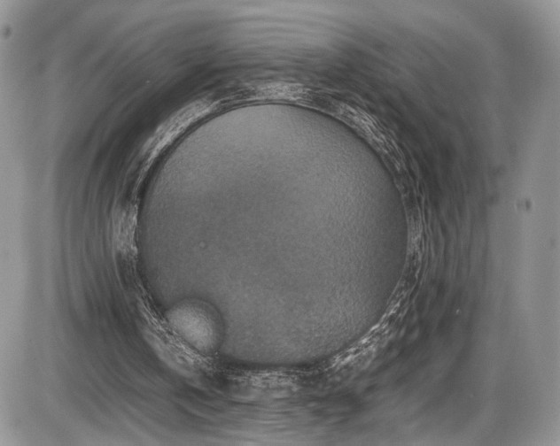 X0000085810146200703231345