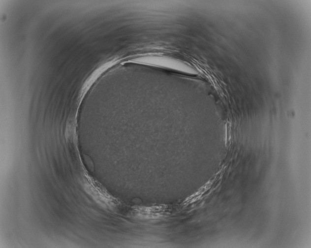 X0000085810147200703231345