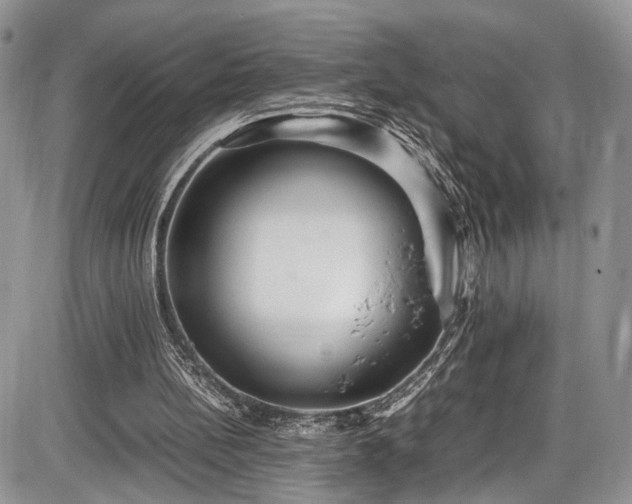 X0000085810148200703231345