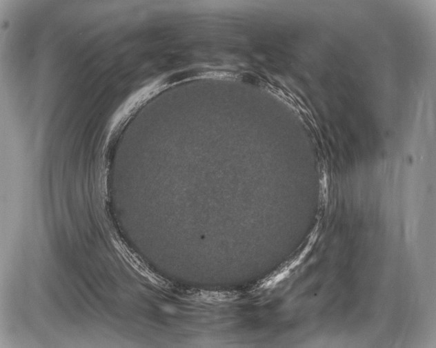 X0000085810149200703231345