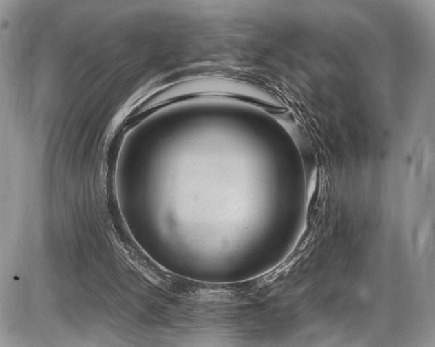 X0000085810150200703231345