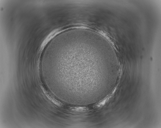 X0000085810151200703231345