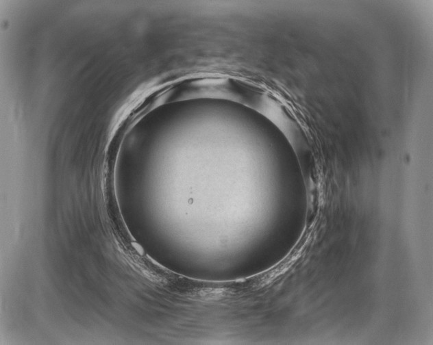 X0000085810152200703231345