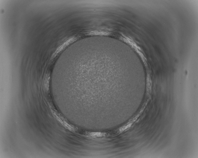 X0000085810153200703231345