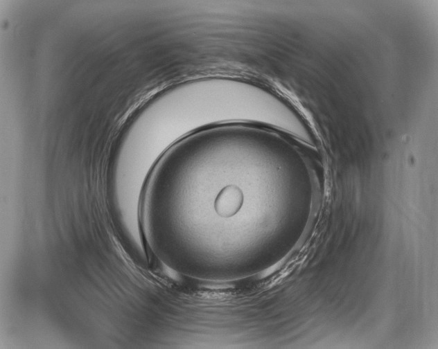 X0000085810154200703231345