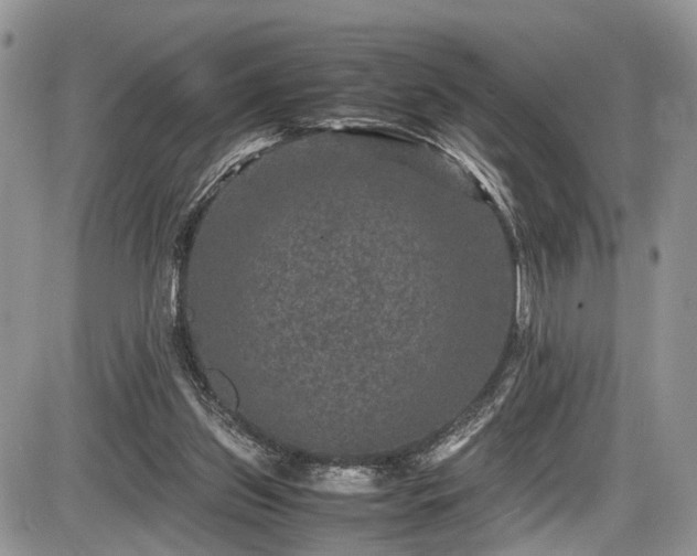 X0000085810157200703231345