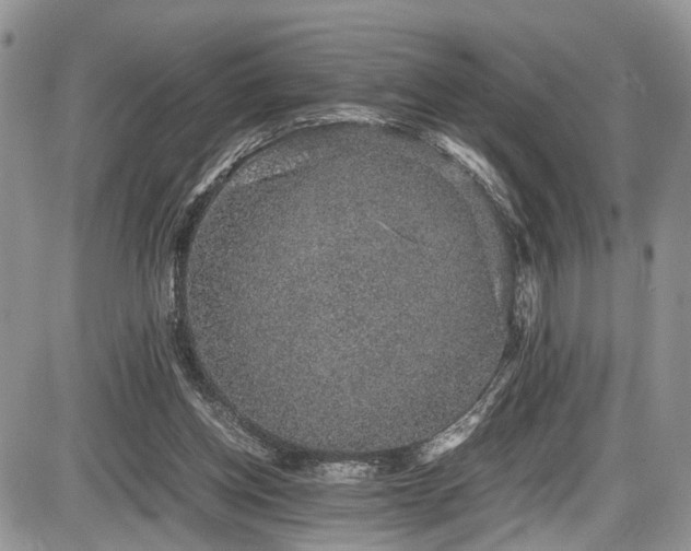 X0000085810158200703231345